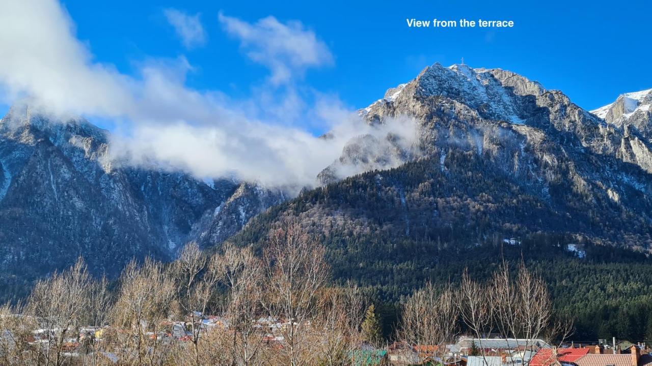 Cozy Riverfront Apartments With Garden And Mountain View Buşteni Eksteriør billede