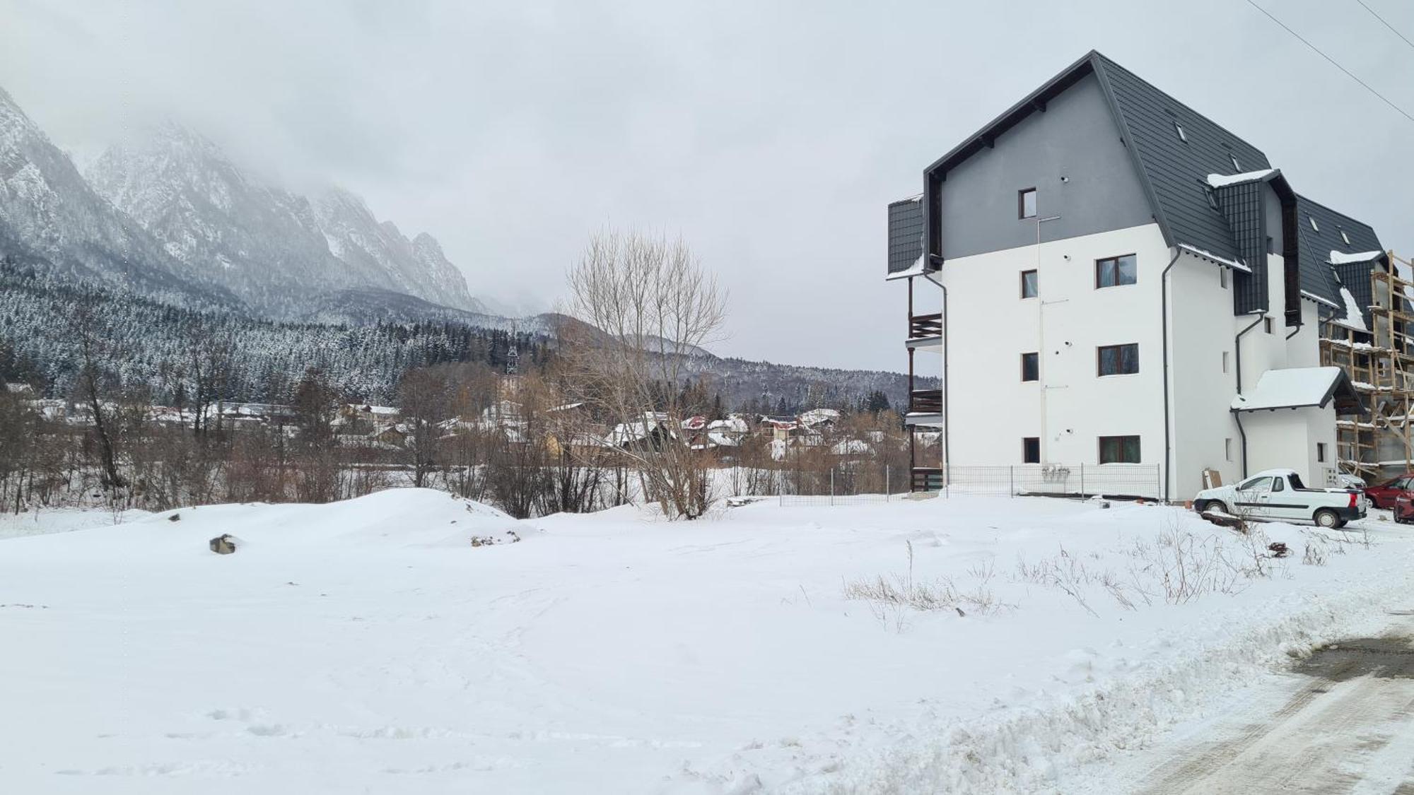 Cozy Riverfront Apartments With Garden And Mountain View Buşteni Eksteriør billede