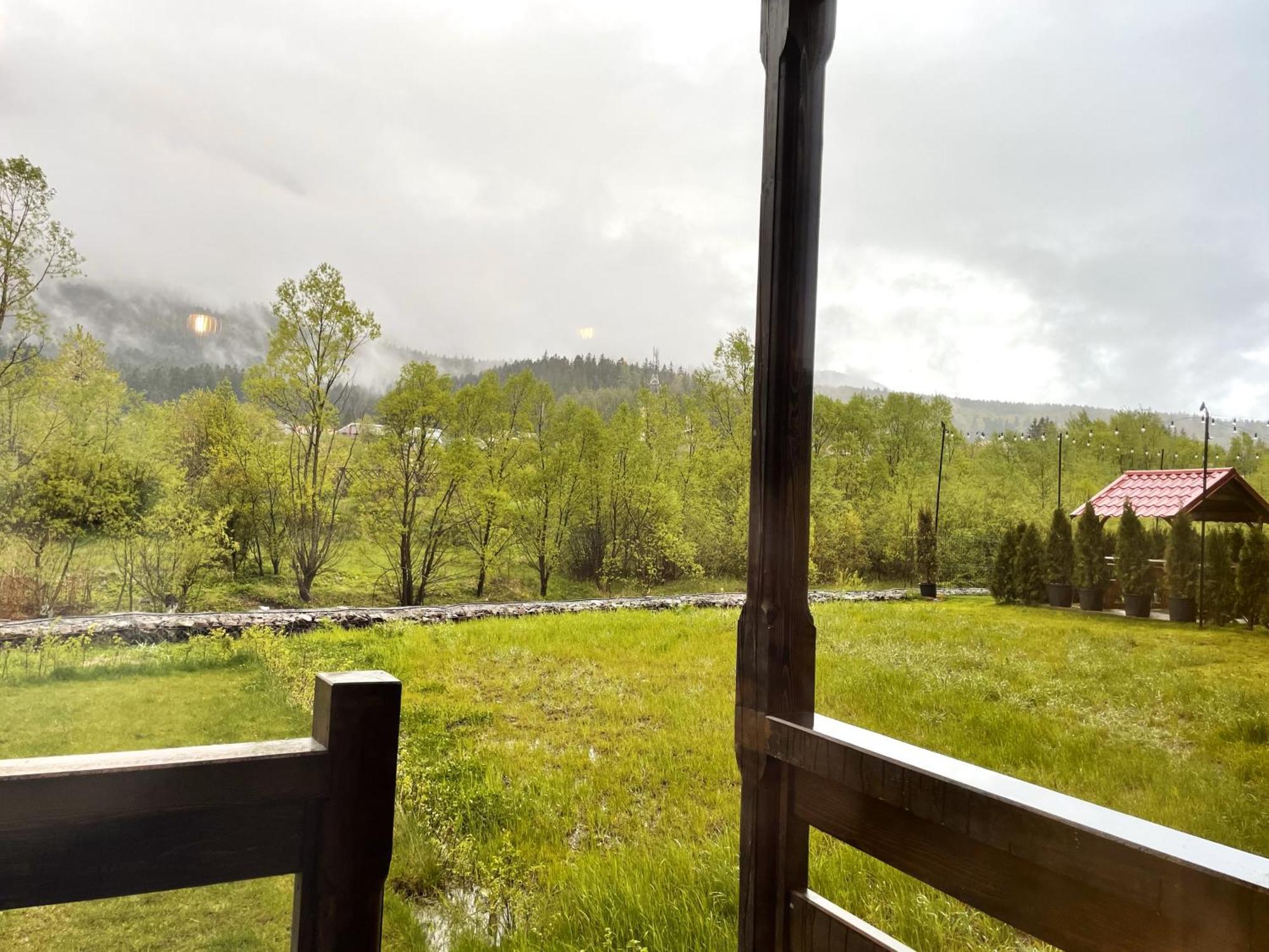 Cozy Riverfront Apartments With Garden And Mountain View Buşteni Eksteriør billede