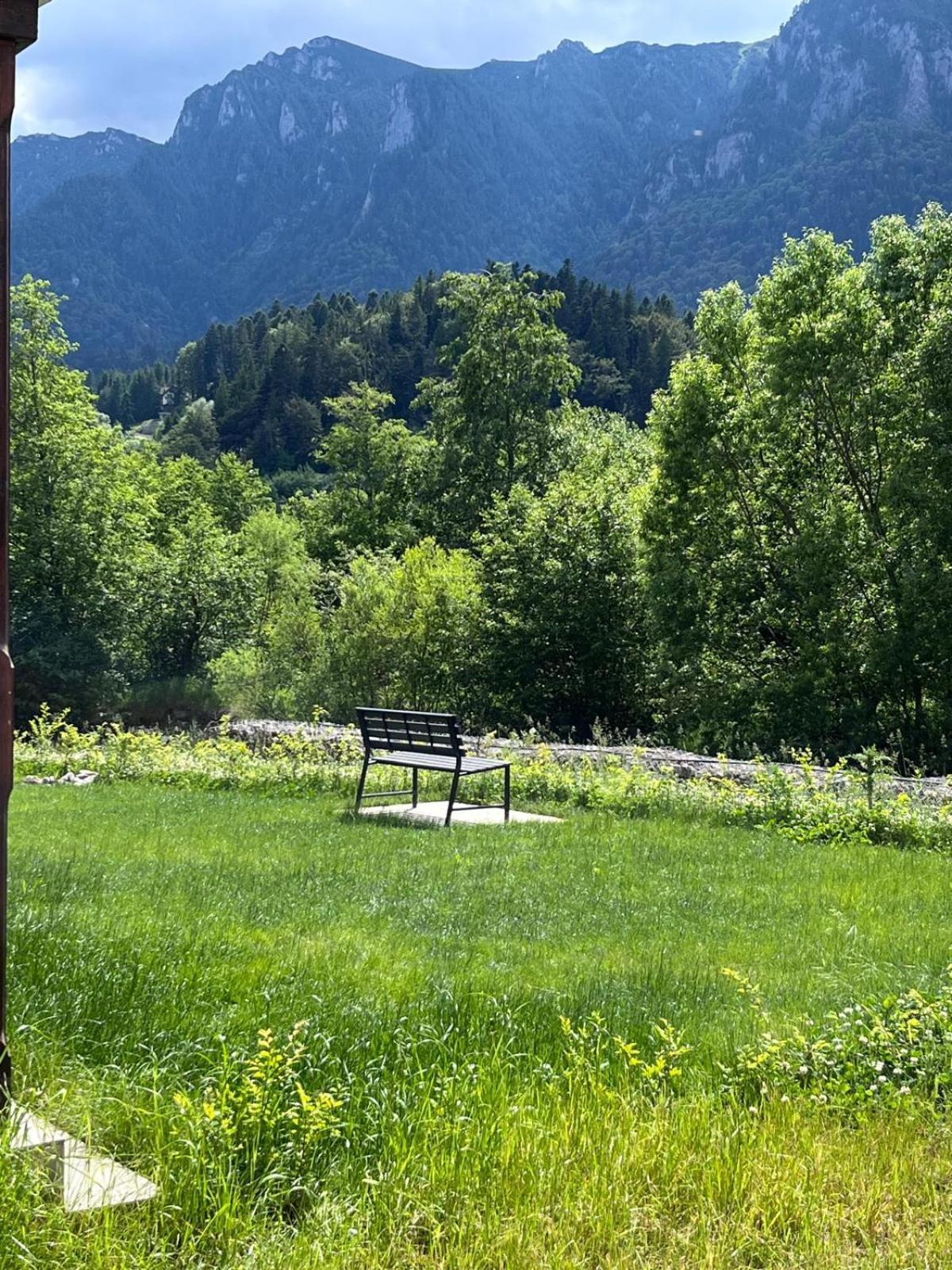 Cozy Riverfront Apartments With Garden And Mountain View Buşteni Eksteriør billede