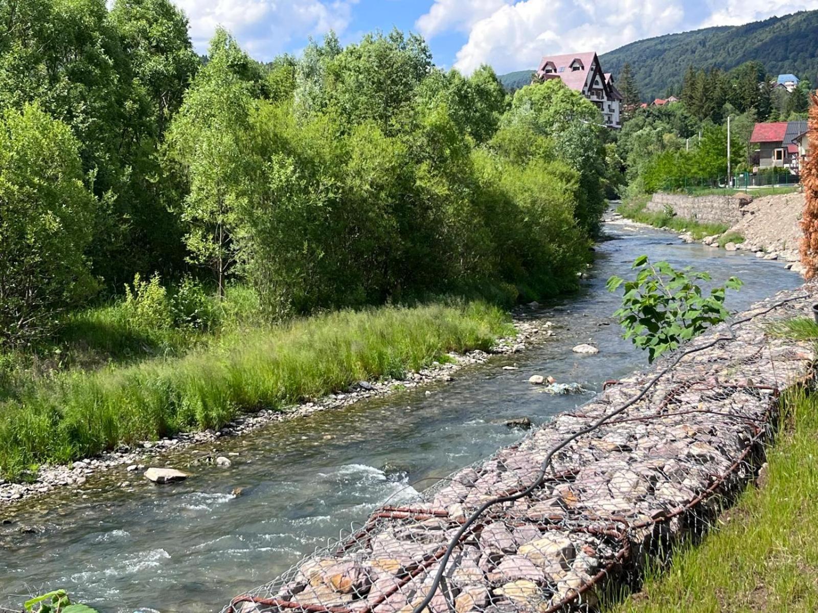 Cozy Riverfront Apartments With Garden And Mountain View Buşteni Eksteriør billede