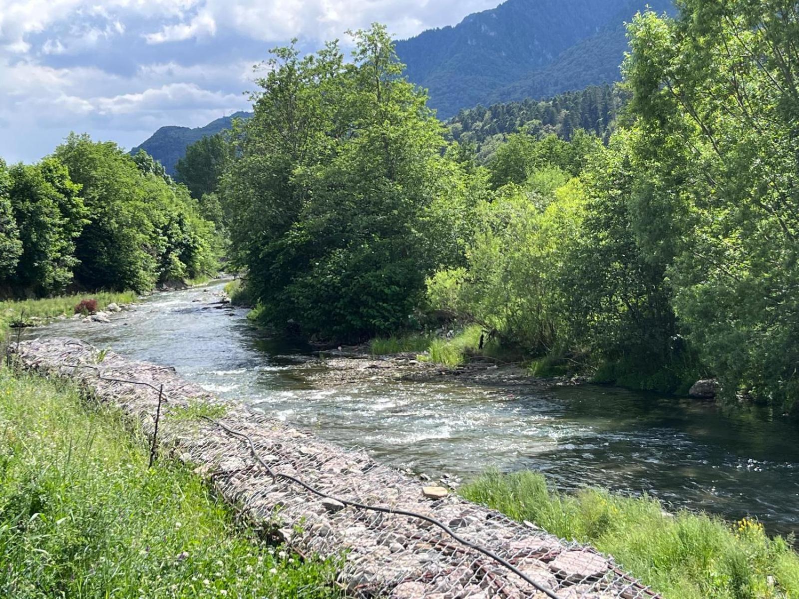 Cozy Riverfront Apartments With Garden And Mountain View Buşteni Eksteriør billede